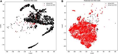 Identification of biomarkers for hepatocellular carcinoma based on single cell sequencing and machine learning algorithms